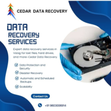 Cedar Data Recovery